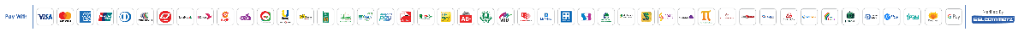 SSLCOMMERZ Accepted Payment Methods — Visa, Mastercard, AMEX, bKash, Nagad, Rocket, and Internet Banking